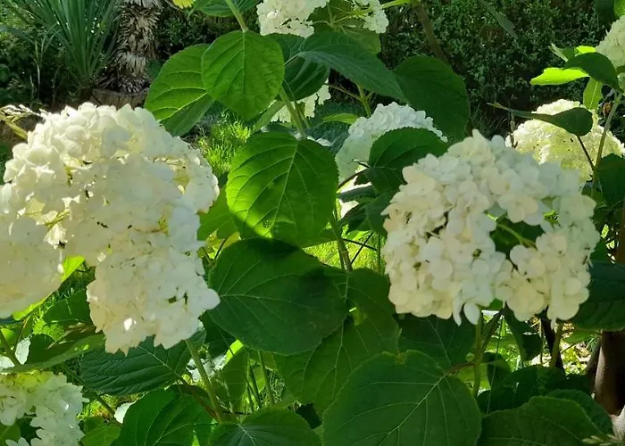 семеен атива - Family Ativa 3*